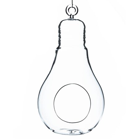 Vista 825 x 425 in Clear Bulb Hanging Glass Terrarium  Candle Holder VI1840659